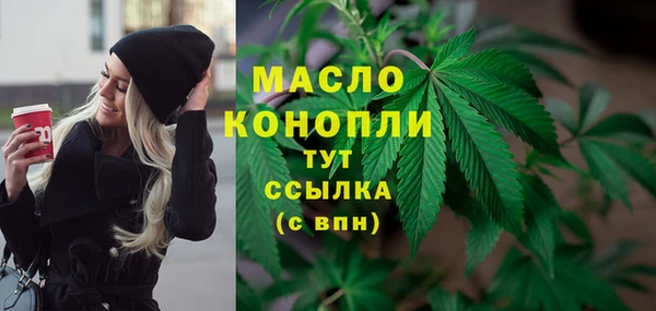 mdpv Богородск