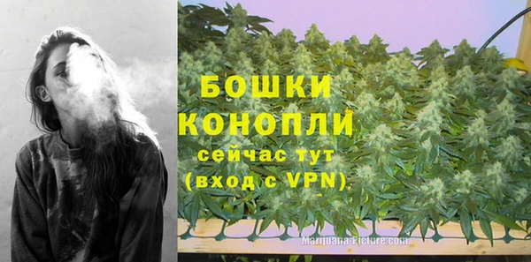 амф Богданович