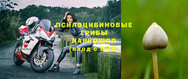 дживик Белоозёрский