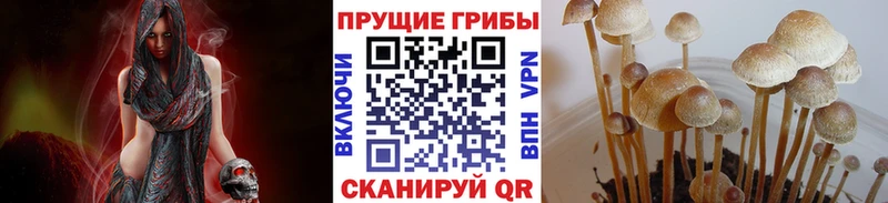 Псилоцибиновые грибы мухоморы  Волчанск 