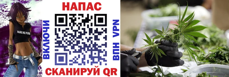 Бошки Шишки гибрид Волчанск